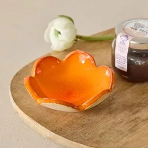 פרח כתום וחרוסת